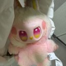 충남대학교 산업대학원 | 직업상담사 2급 실기 내돈내산: 충남대학교 시험장 후기(최종 합격 결과는?! )