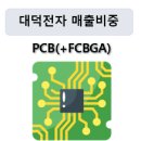 대덕전자 이미지