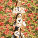 순실크 이미지