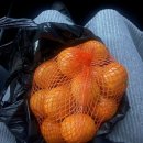 여운길농장 | 제주 / 겨울먹방여행일기 :) 1223