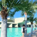 엘리스테이보령 이미지