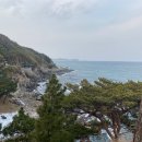 송원사슴 이미지