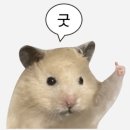 589 | [전주 카페] 입구부터 시선강탈! 식물 힐링과 카공을 동시에, '589COFFEE' 내돈내산 후기