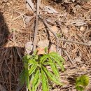 계촌농장 이미지