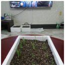 삼형제농산물
