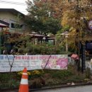웰빙한돈한우