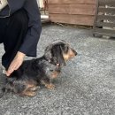 건축사사무소태이 | [일본] 23년 3월 도쿄여행 - Day2