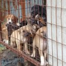 계양산목장 이미지