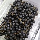 천구농장 이미지