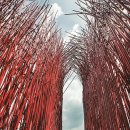 영월 Y파크(술샘박물관) 이미지