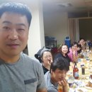 새하마노 Daum카페
