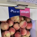 마감)15브릭스 대극천 판매 이미지