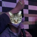 정우아파트_하 이미지