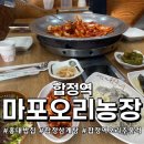 마포주물럭 | 합정 마포오리농장 홍대한식 찐맛집 오리주물럭 먹고 온 후기