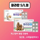 스마일6층약국 네이버블로그