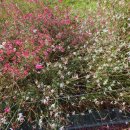 계양경기장 이미지