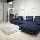 죽동 금성백조 이미지