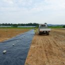 룰루베리팜 이미지