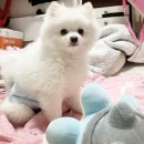 활주로노래방 이미지