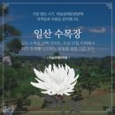 일산수목장 | 일산 수목장 선택 가이드, 도심 인접 지역에서 자연 장례를 고민하는 분들을 위한 기준 정리
