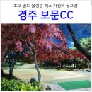 그늘집 | 경주 가성비 골프장 보문 CC 그린피 코스 그늘집 가격 후기