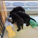 미스터앤 미세스멍 원주점 이미지