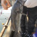 CU(대산삼길포점) 이미지