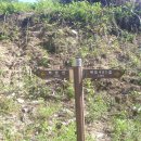 아홉사리로 이미지