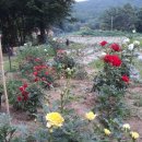 필자농장 이미지