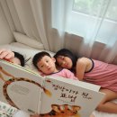 미선이네집 이미지