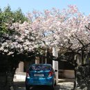 회수동-5 이미지