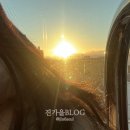 냠냠 먹방 (쿠로카츠테이, 우나기노스에요시, 3515, 베리치즈, 메종도타르트 보누르, Mille coffee)
