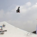 PARROT KOREA 이미지