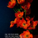 아우라두 이미지