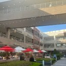 이천고세