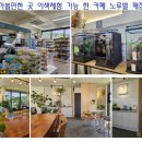 대전 근교 주말 나들이 흑석리 카페 노루벌 이색체험 후기!(강아지 동반 가능)