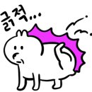 글로우 투어(Glow tour)