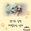 간식파는남자 이미지