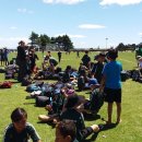 우리집 똥강아쥐 이미지