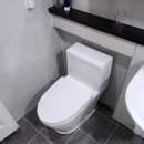 수락한신아파트경로당 | 노원구 변기교체, 노원 대림 양변기교체비용 - 상계동 수락한신아파트, 대림바스 CC-280 원피스변기