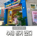 성남대로1416번길 이미지