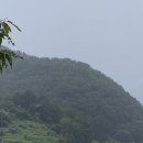 유람선 고동소리 이미지