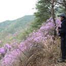 낙화산 정상 이미지
