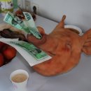 (주)신화건설 Daum카페