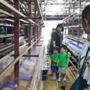 새밀알어린이집 이미지