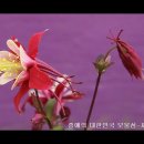 행복한아이세상 이미지