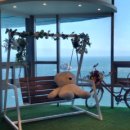 영도국민체육센터 이미지