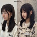 하비헤어 이미지