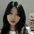 누오(nuo) 이미지