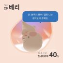 성경 세탁 | [임신일기]33~34주 : 후기임산부 일상, 아기용품 정리 시작, 손수건아기옷 세탁시작, 크리스마스